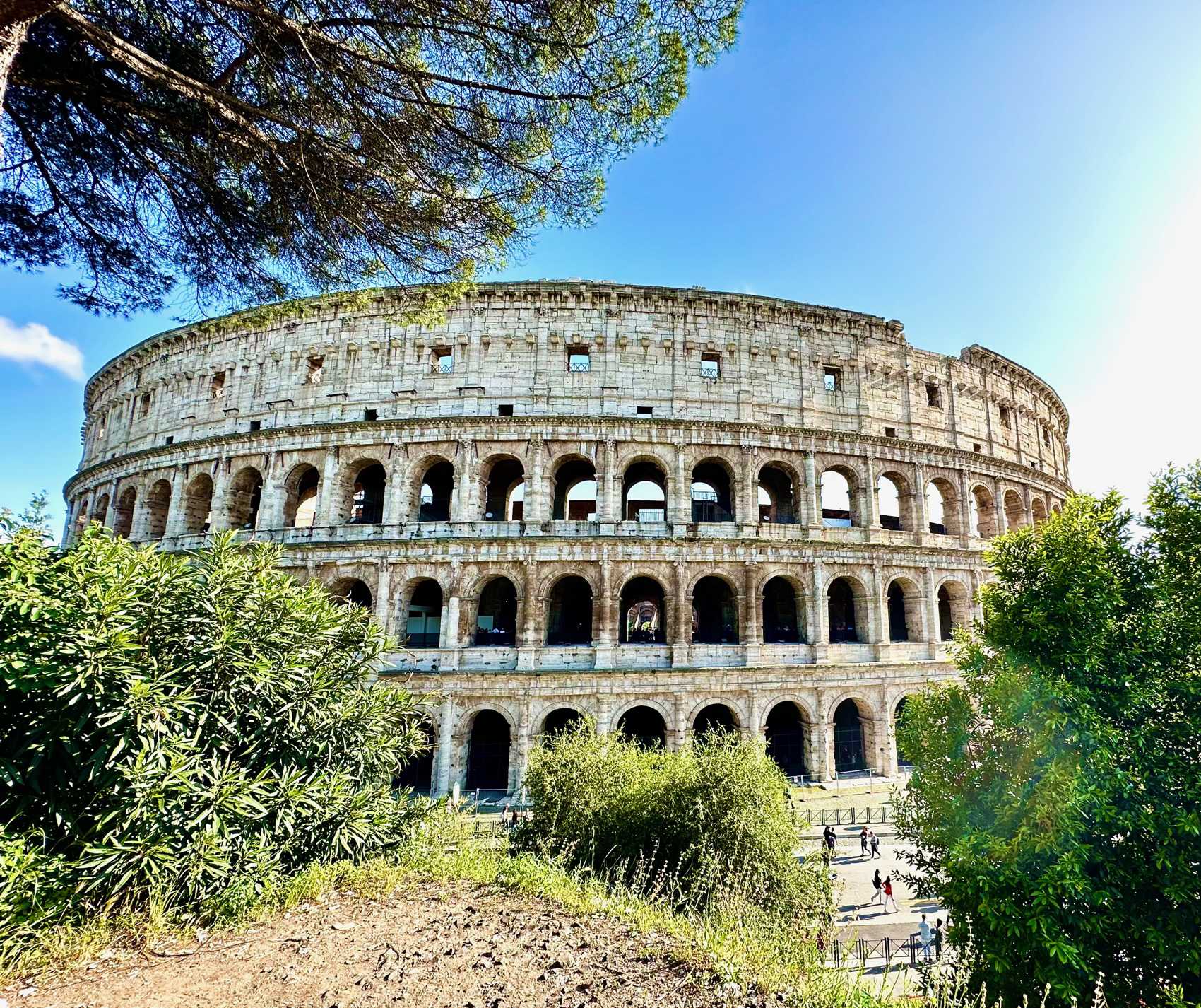 The Colosseum in Rome. Discover This Incredible Wonder